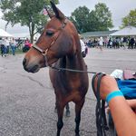 Jill Bennett-Carpenter - @bennettcarpenter - Instagram