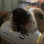 Bennett Carroll - Facebook