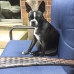 Carroll Bennett - @carrollbennett5 - Instagram