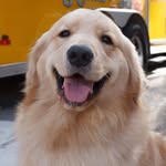 Bennett (Benny) Evans - @bennybuttonn - Instagram