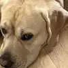 Ben Friedman - @ben.friedman1 - TikTok
