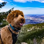 Louie Bennett Garner - @milehigh.louie - Instagram