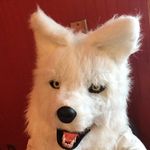 Griffin - @_griffin_bennett_ - Instagram