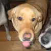 GriffinBennett - @griffinjbennett - TikTok