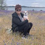 Sue Bennett Gross - @sue.b.gross - Instagram