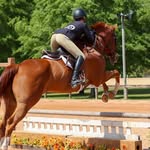Bennett Hall - @bennetthall_eq - Instagram