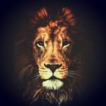 Charlie Louis King - @hardybennettband - Instagram