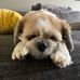Bennett Harrell - Facebook