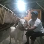 Hendra Benett - Facebook