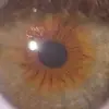 hendrixbennettt - @hendrixbennettt - TikTok