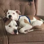 Deanna Hicks Bennett - @deannahicksbennett - Instagram