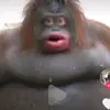 bennettjakayla_howe6 - @bennettjakayla_ho - TikTok
