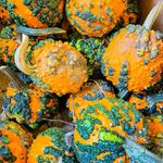 MeriAnne Bennett Huff - @meriannehuff - Instagram