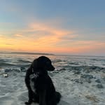 Bennett Longhurst - @bennett.longhurst - Instagram
