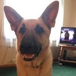 Donna Bennett-Hurst - @donnabennetthurst - Instagram