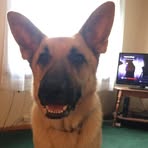 Donna Bennett-Hurst - Facebook