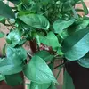 Bennett Jacobs - @bennett.jacobs2 - TikTok