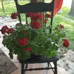 Sharon Bennett Jansen - @elpaso_74 - Instagram