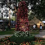 Bennett Jensen - @bennettjensen - Instagram