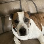 Bennett Johnston - @bennett_johnston - Instagram
