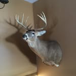 Bennett - @bennettkeller18 - Instagram