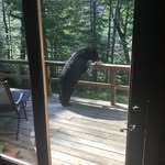 Bennett Larson - @birdseedbear - Instagram
