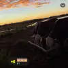 Lawson Bennett - @lawson.bennett - TikTok