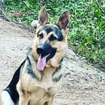 Linden Bennett - @bennett.linden - Instagram