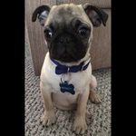 Bennett Hendry-MacDonald - @bennett.gerard.hmd - Instagram