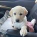 Audrey Bennett-Marks - Facebook