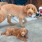 Mayer and Bennett - @bennettandmayer - Instagram