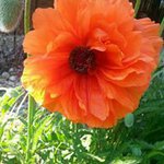 Roberta Bennett Mayer - @mommaberber - Instagram
