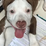 mcknight bennett - @mcknight_bennett4 - Instagram