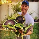 morris - @benn_ettmorris - Instagram