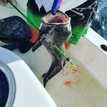 Bennett Nall - @bennett_nall - Instagram