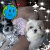 Jeannie Burnett Ness - Facebook