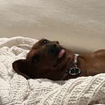Bennett nelson - @bennett_nelson_lol - Instagram