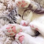 Bennett Ng - Facebook