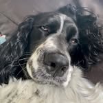@bennet.tobias._ - Instagram