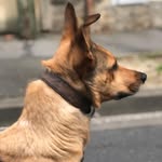 Obiwan Bennett - @obiwanbennett - Instagram