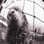 Bennett Pearson - @bennett_pearson12 - Instagram