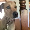 bennett_petersen - @bennett_petersen - TikTok