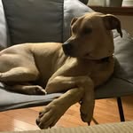 Bennett Petersen - @bennettpetersen64 - Instagram
