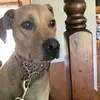 bennett_petersen - @bennett_petersen - TikTok