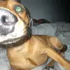 Benny Peterson - @benny.peterson - TikTok