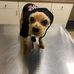 Peggy Bennett Pierce - Facebook