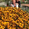 brendaabennettpike1 - @brendaabennettpike1 - TikTok