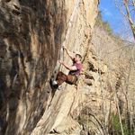 Bennett Reed - @bennettreed1 - Instagram
