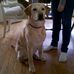 Bennett Rosenthal - Facebook