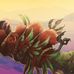 Bennett Ross - Facebook